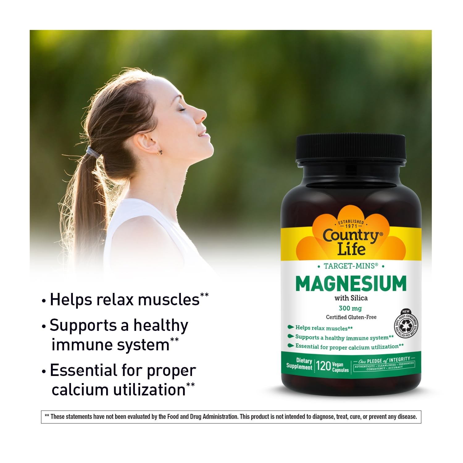 Target-Mins Magnesium with Silica 300 mg 120 Vegetarian 120 Count (Pack of 1)