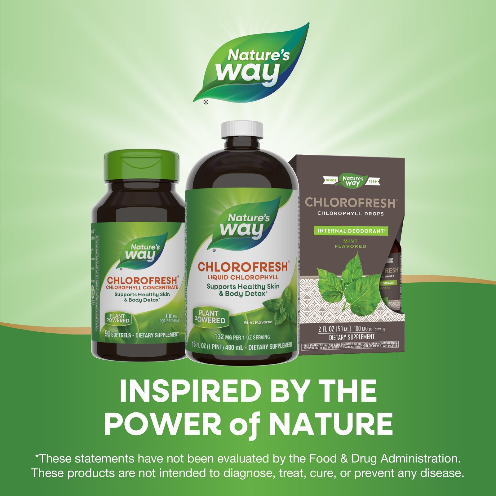Nature’s Way Chlorofresh Liquid Chlorophyll Internal Deodorant 16 fl oz Mint