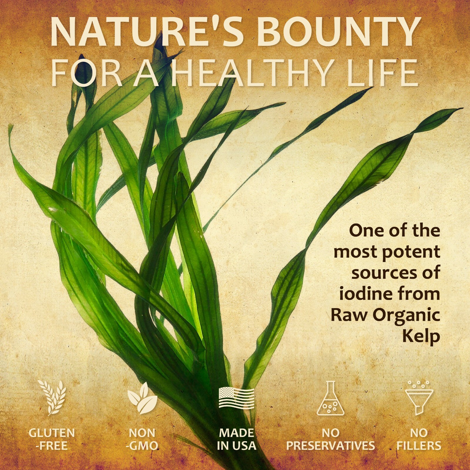 Iodine Sea Kelp 100 caps Pure Healthy Thyroid Support Metabolism Energy Booster