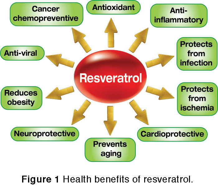 energy pills – RESVERATROL 1200MG – resveratrol best seller 1B