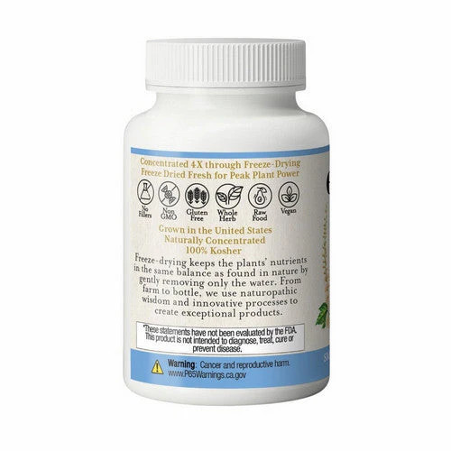 Black Cohosh 100 Caps 370 Mg by Eclectic Herb