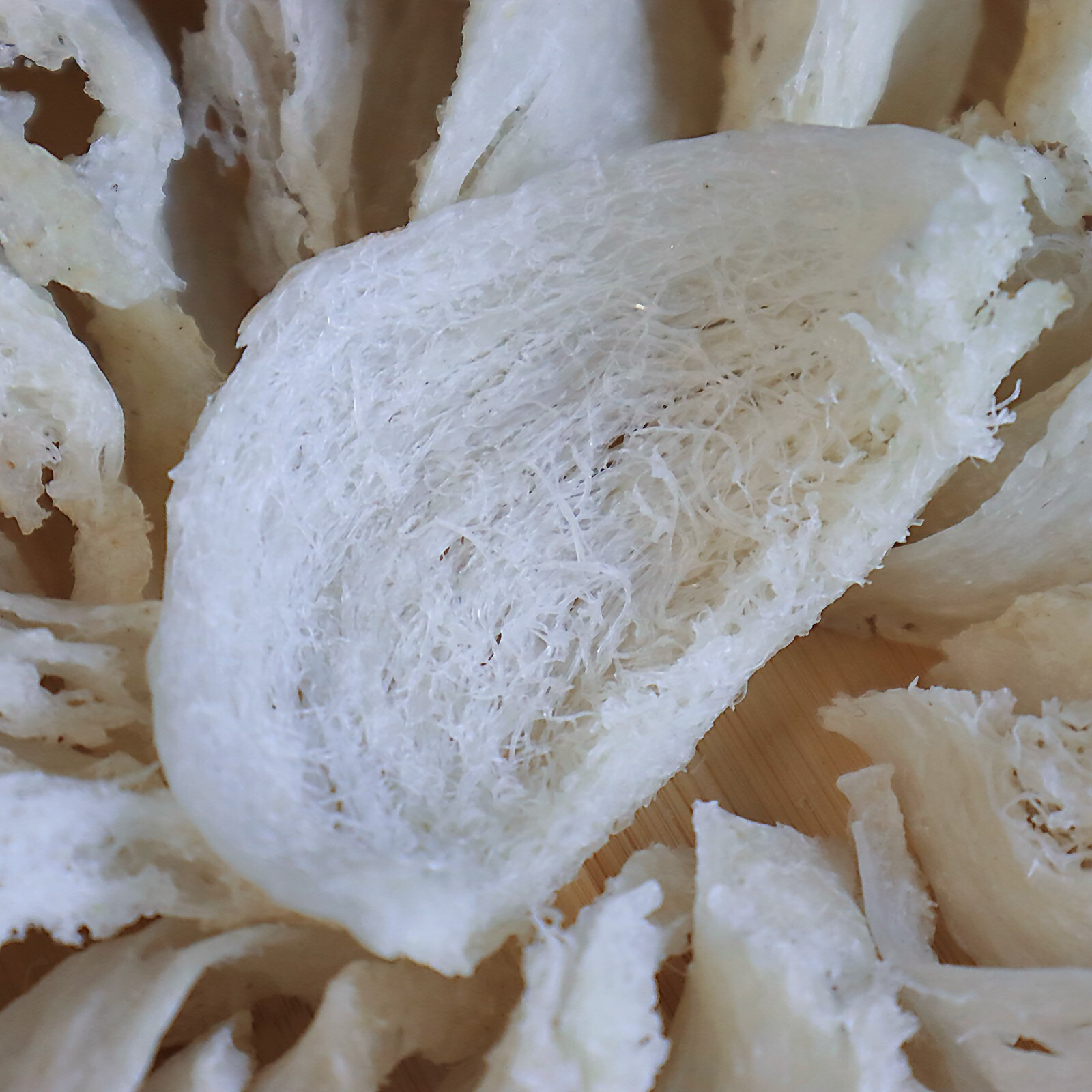 Royal sea food USA Indonesia TOP Grade Bird’s Nest 8oz 100% 天然雨季头期印尼 干挑 燕盏