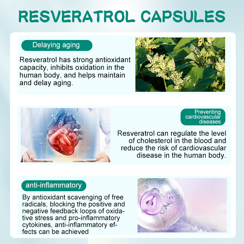 Resveratrol Capsules 1200MG Maximum Strength Anti Aging Antioxidant Supplement