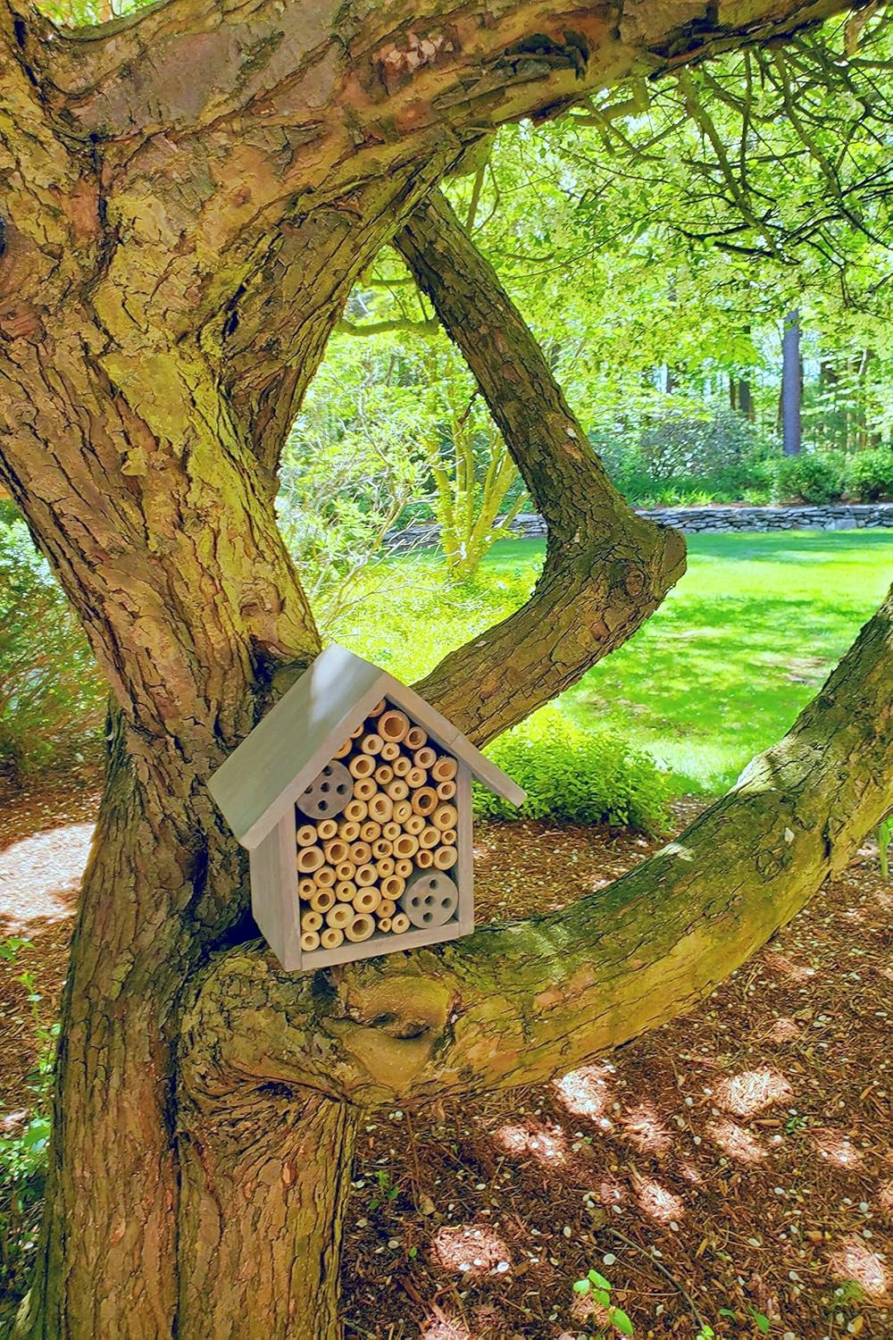 Bamboo Tube Bee Hotel for Solitary Bees – Attract Gentle Pollinators