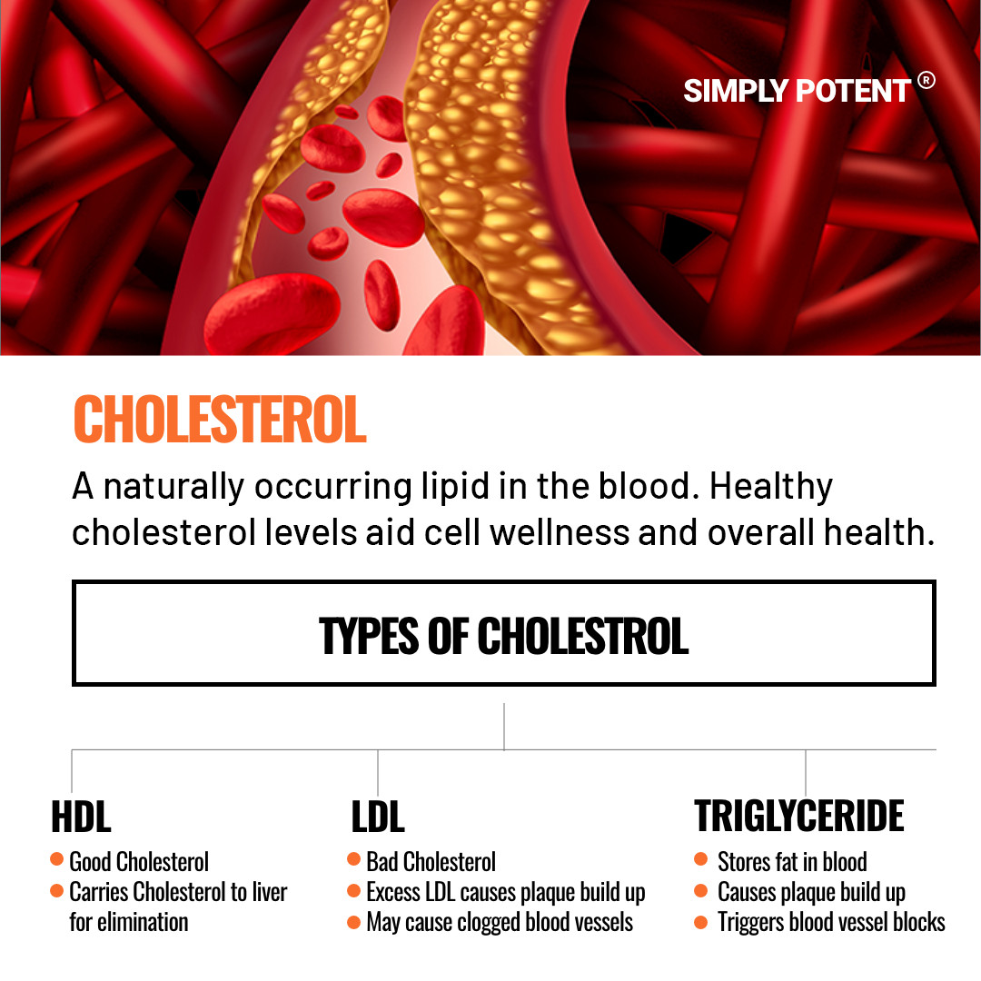 Cholesterol Support Supplement – Heart Health & Lipid Control | 60 Capsules
