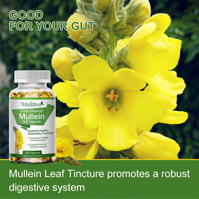120 Mullein Leaf Capsules for Lung Cleansing&Detox Herbal Dietary Supplement