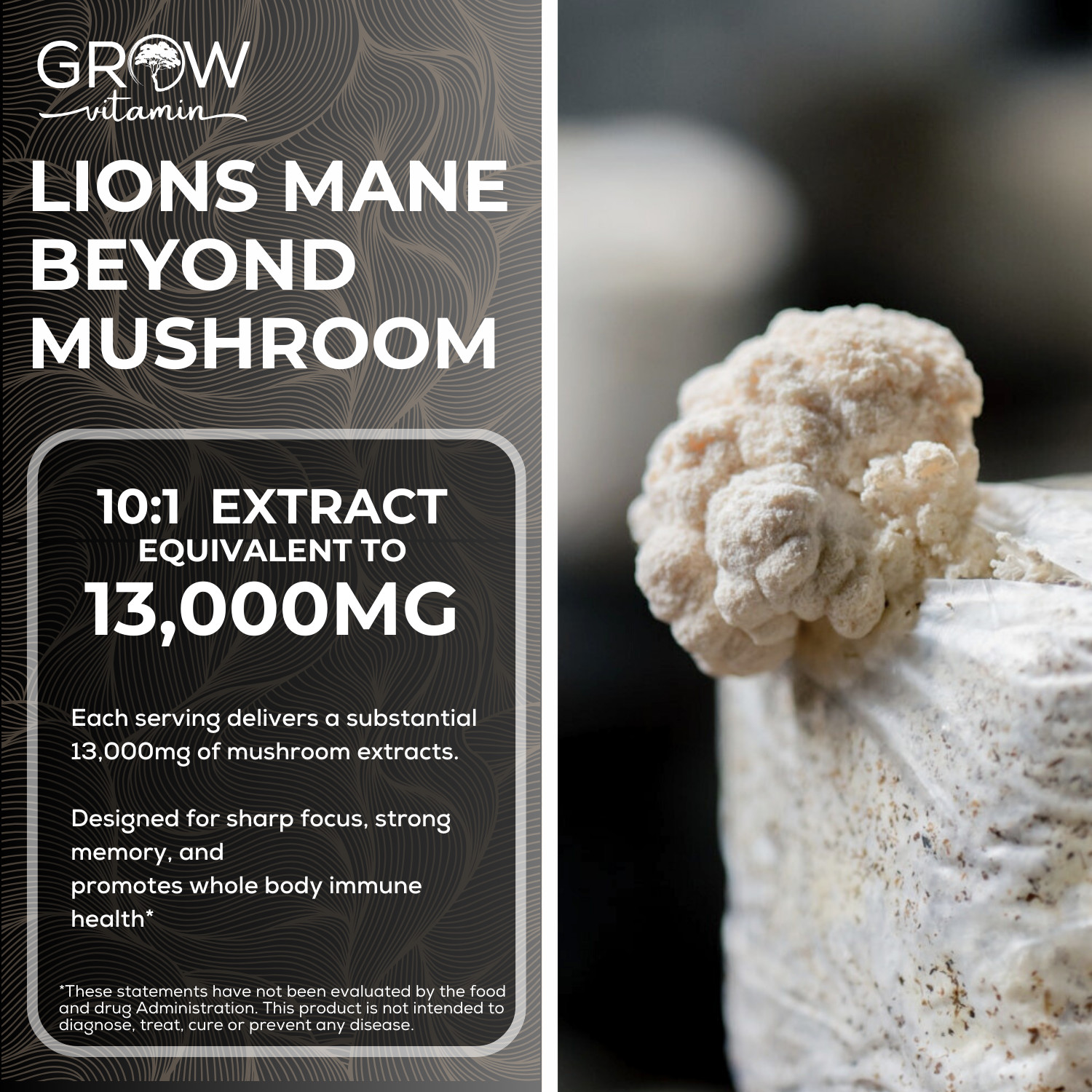 FreshCap Ultimate Mushroom Complex Powder – Mushroom Extract powder 60 capsules