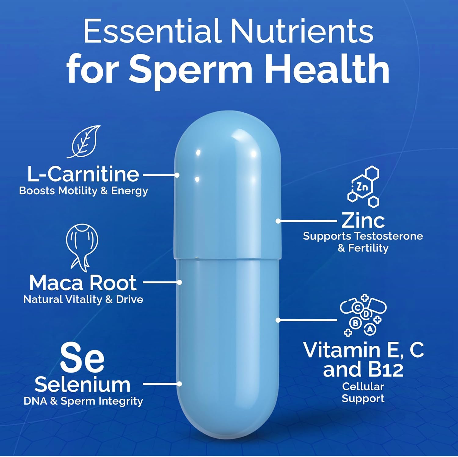 CONCEIVE Plus Men’s Fertility Support, 60 Vegan Capsules