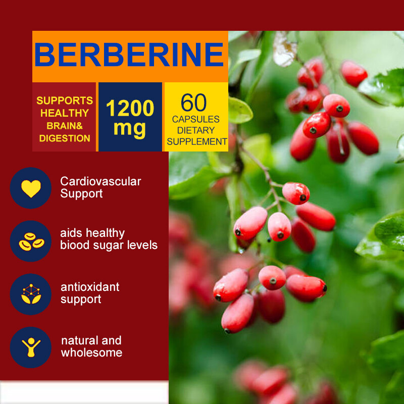 Berberine HCl 1200mg – High Potency Berberine Supplement – Blood Sugar Support