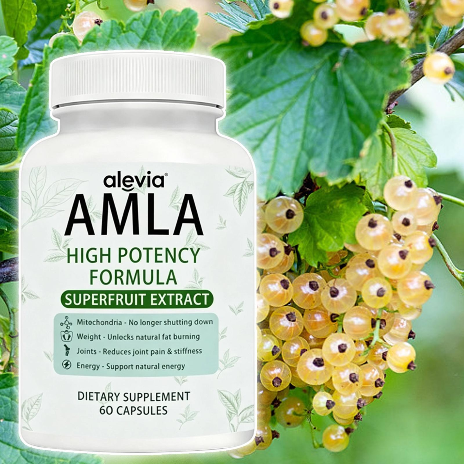 AMLA Capsules Superfruit Extract elevated Potency Formula 60 Capsules