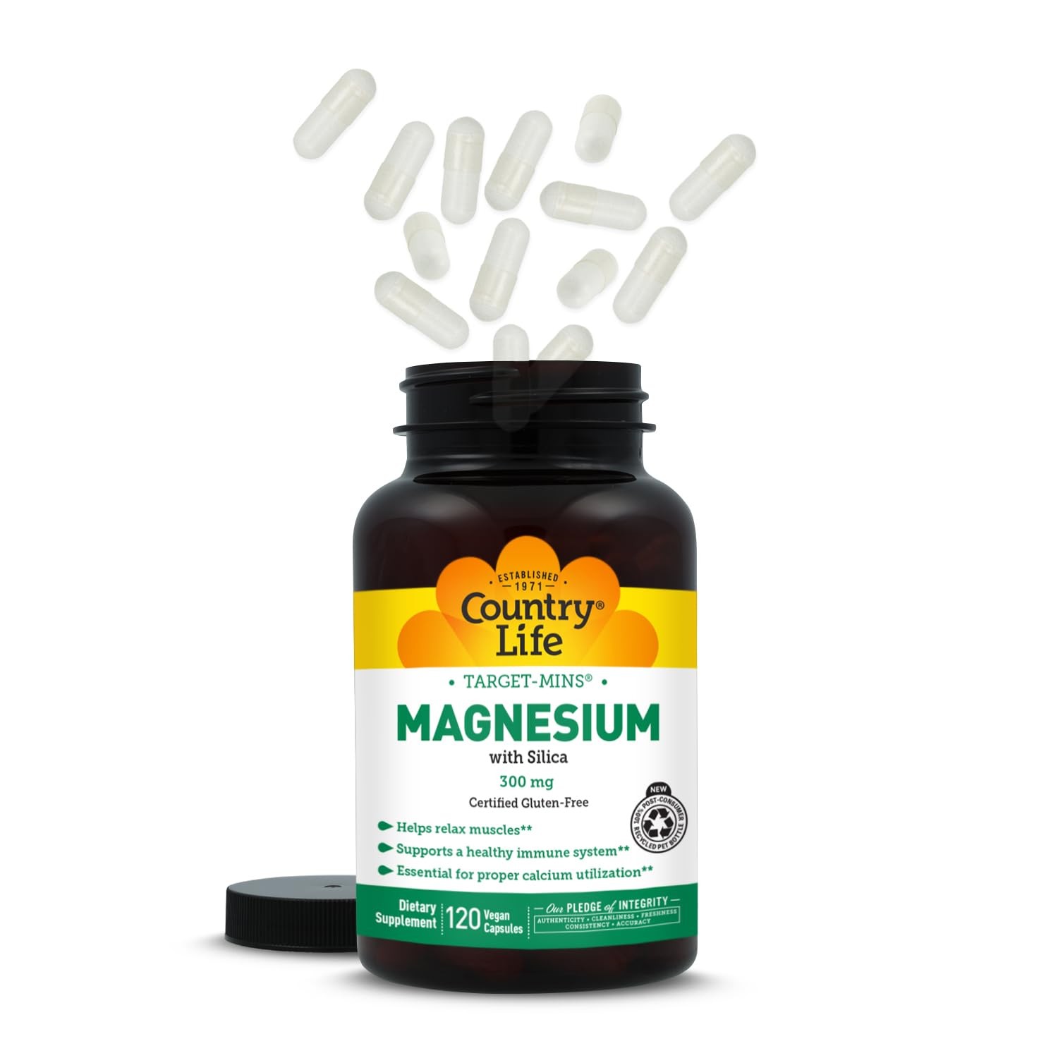 Target-Mins Magnesium with Silica 300 mg 120 Vegetarian 120 Count (Pack of 1)