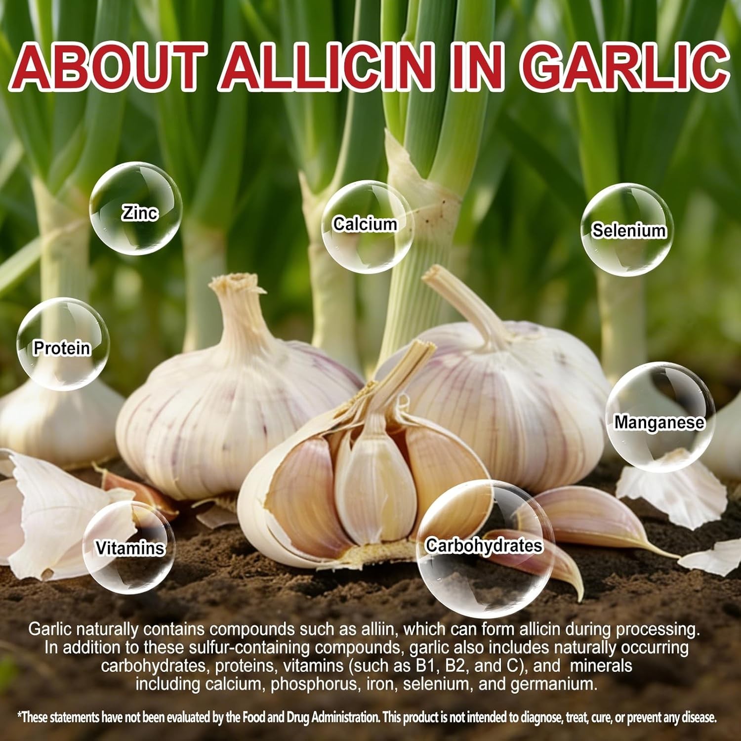 Aged Garlic Extract Odorless Energy 300 Softgels Ajo Envejecido Ajo Sin Olor