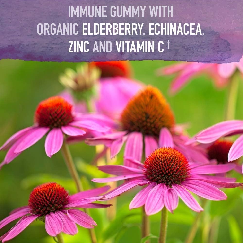 Daily Immune Support with Organic Elderberry Gummies – 120 Count for All Ages