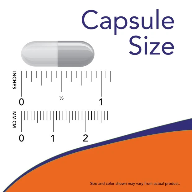 L-Arginine 500 mg 100 Caps Amino Acid