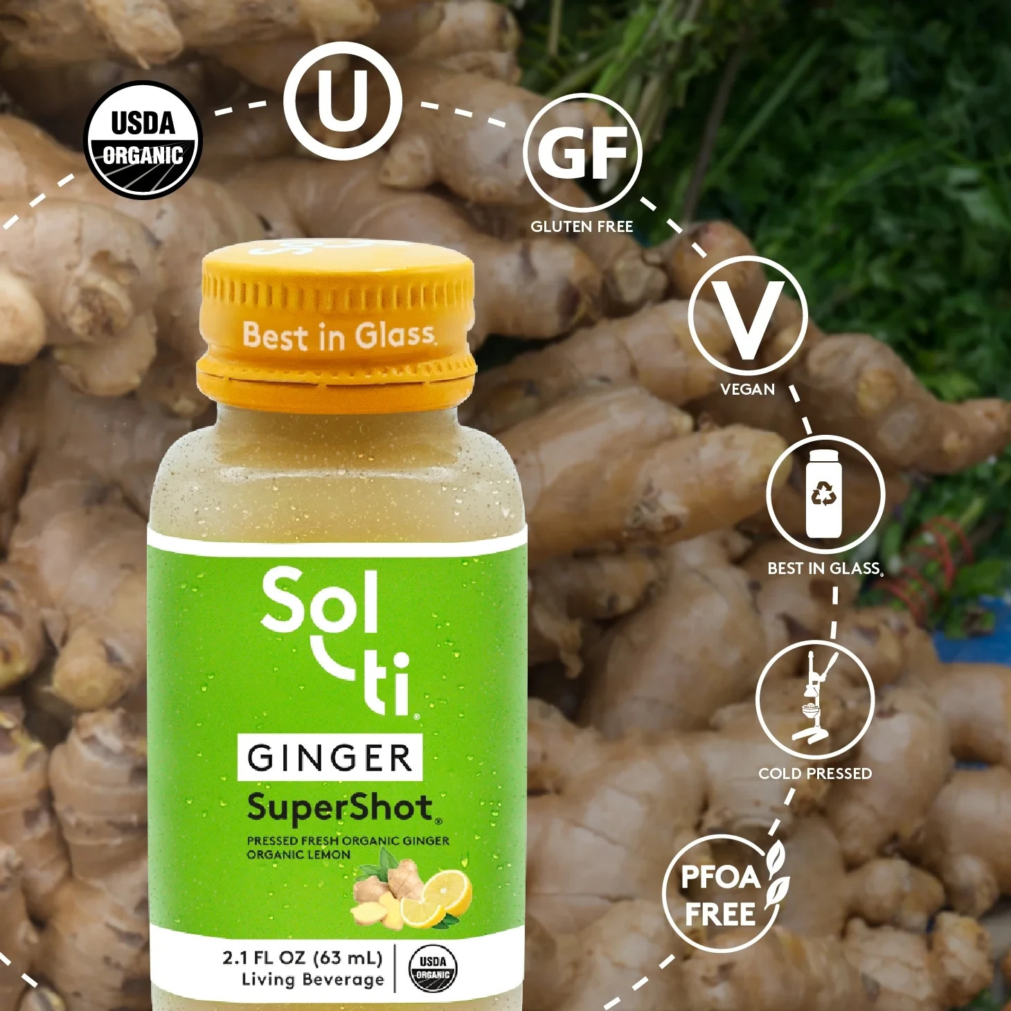 6 Pack Sol-ti Ginger SuperShot 2.1 fl oz Organic Cold Pressed Living Beverage