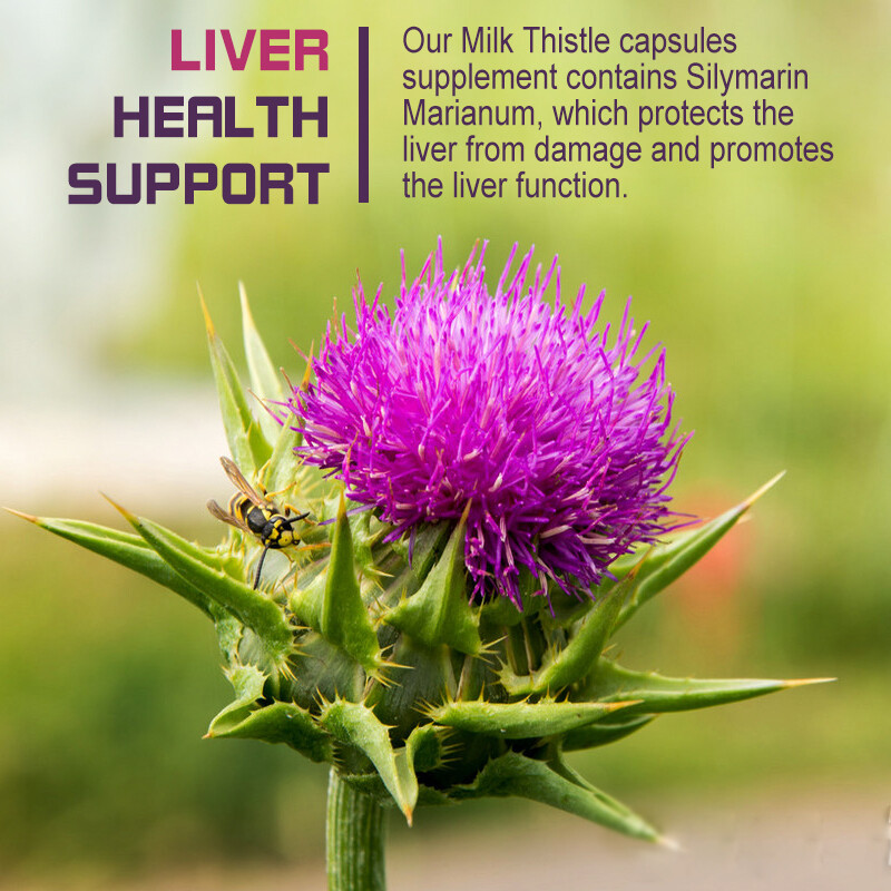 Anti – Aging – MILK THISTLE 1200MG Milk Thistle Best Seller 1 Bottle 120Capsules
