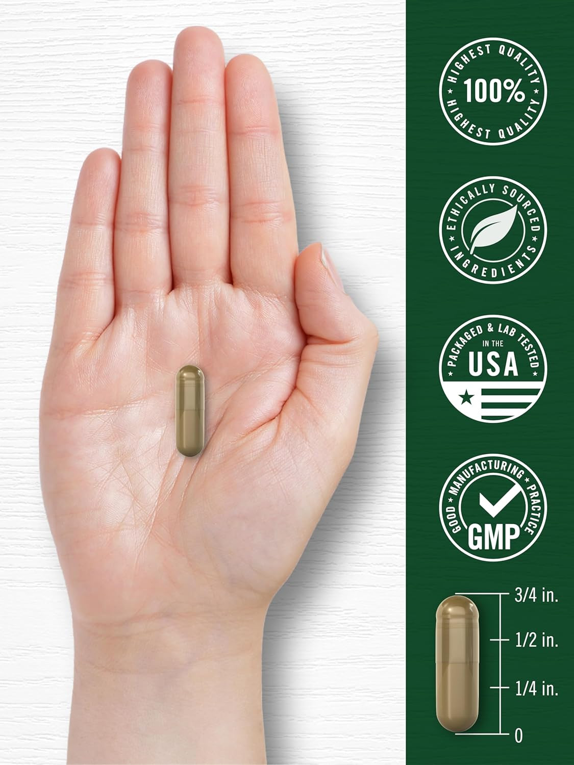 Carlyle Wormwood Capsules 430Mg | Artemisia Annua Herb | 200 Count | Non-Gmo & G
