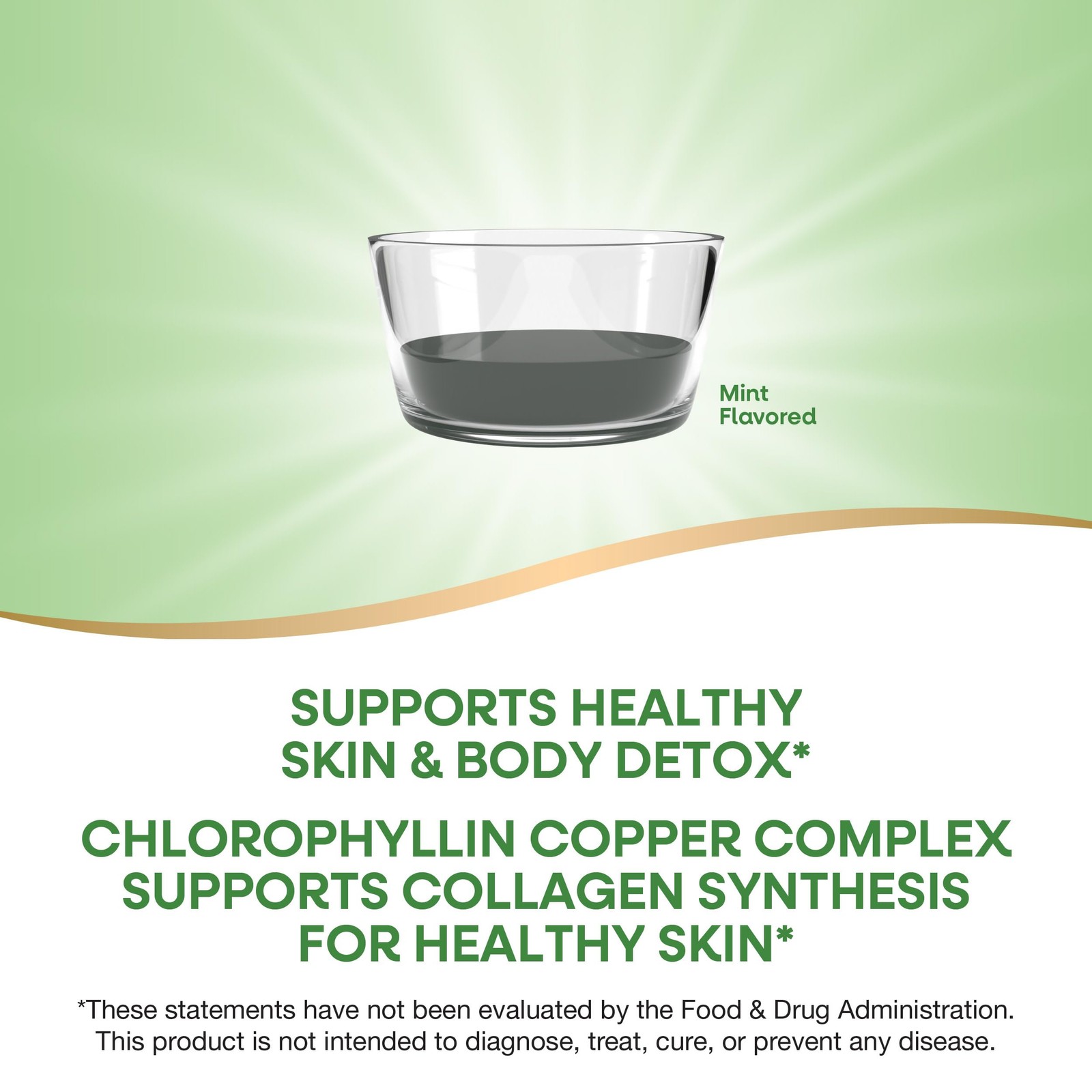 Nature’s Way Chlorofresh Liquid Chlorophyll Internal Deodorant 16 fl oz Mint