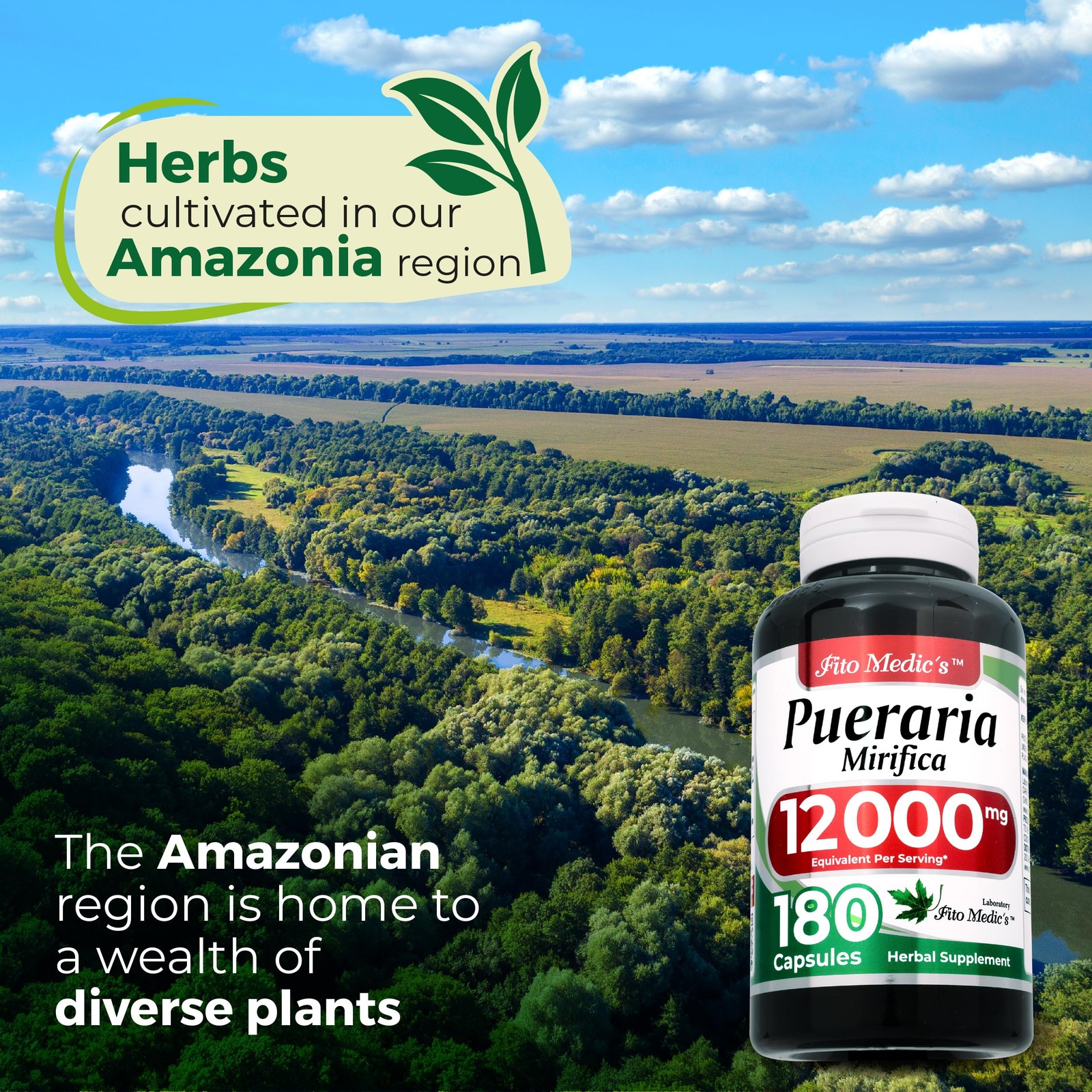 FITO MEDIC’S Lab | pueraria mirifica |180 Capsules | pueraria mirifica Capsules