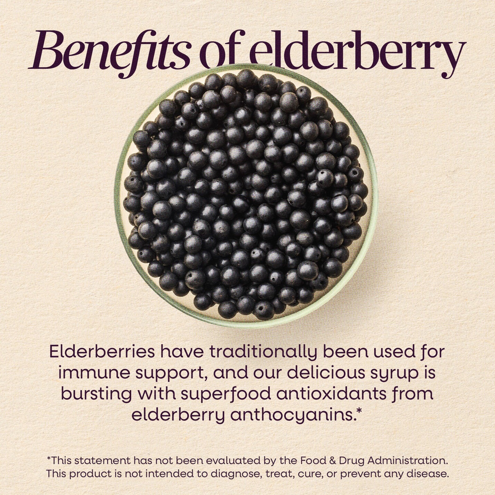 Nature’s Way Sambucus Elderberry Traditional Immune 8 Fl Oz (Pack of 1), –