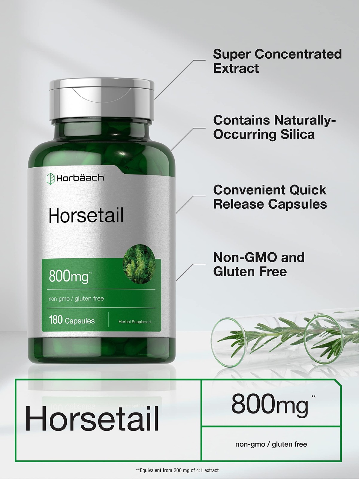 Horbäach Horsetail Supplement | 180 Capsules | Traditional Herbal Extract |