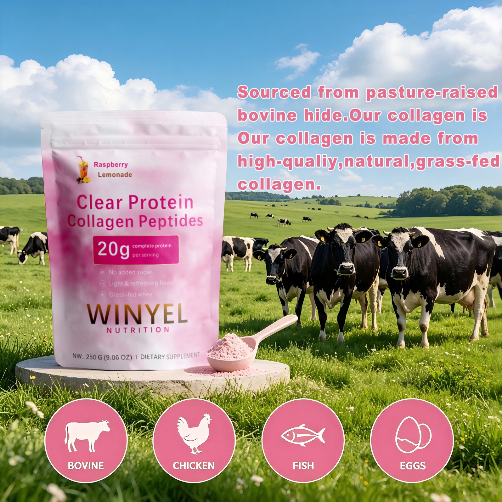 WINYEL Clear Whey Protein Collagen Peptides 20g Raspberry Lemonade 250g