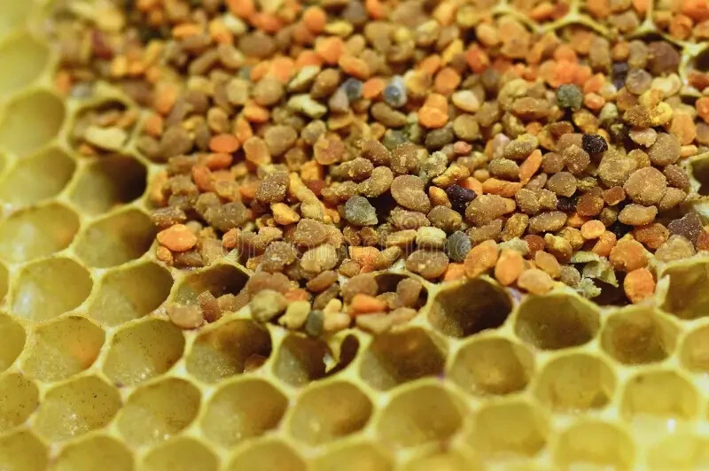 Raw Wild Harvested Bee Pollen Bits All Natural granules