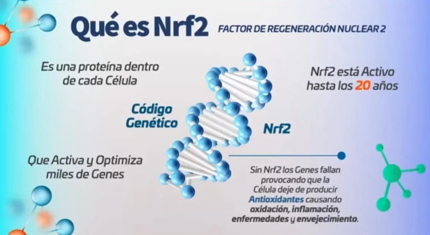 ACTIVZ GNM-X – Nrf2 Activator for Genetic Cellular Defense and Well-Being 3Pack