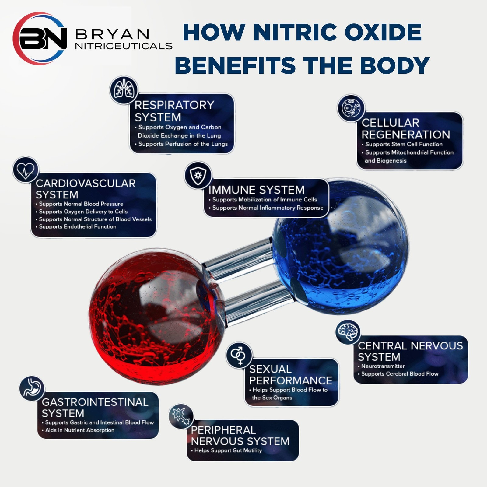 N.O. Beetz Nitric Oxide Fueled Energy Boost Supplement, Hydration & Cellular …