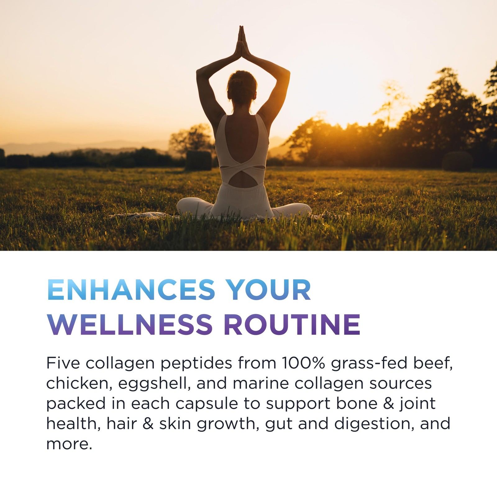 Multi Collagen – Hydrolyzed Collagen – Types I, II, III, V & X – Hair, Skin, …