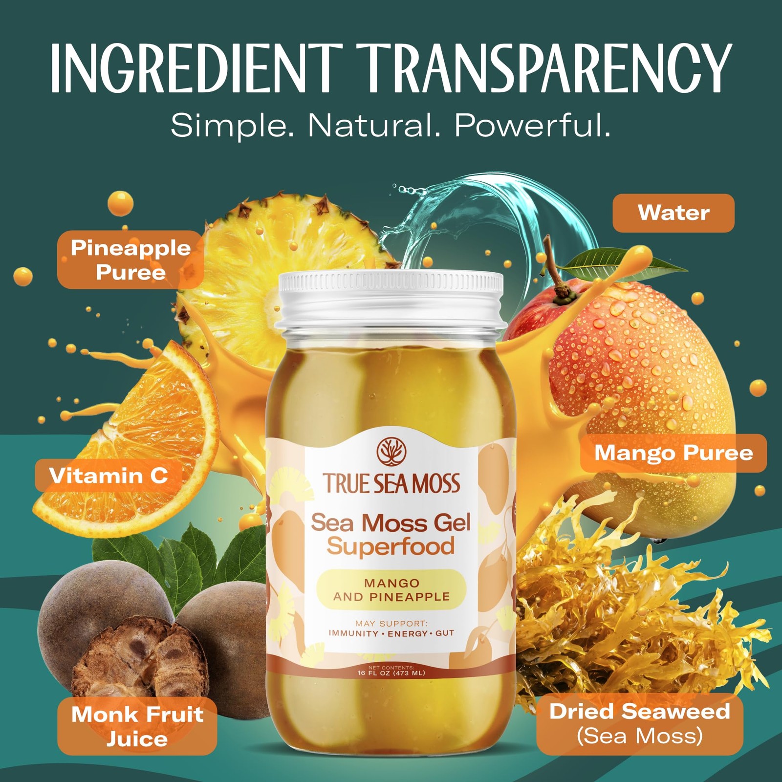 Trueseamoss Sea Moss Gel In Usa Pack Of 1 Labels May Vary