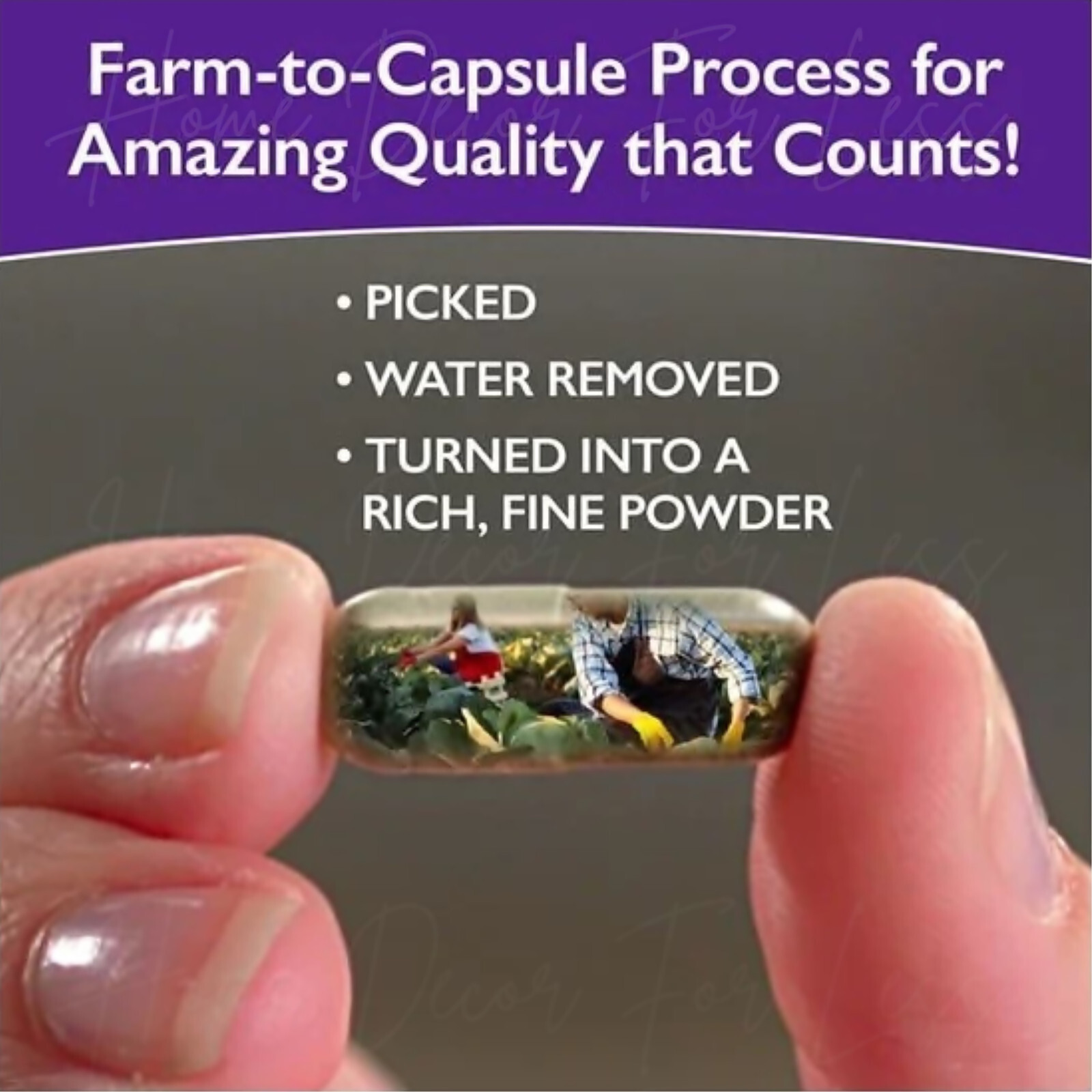 Fruits and Veggies | 30 Capsules | 24 Fruits and Vegetables | Green Tea | GOvana