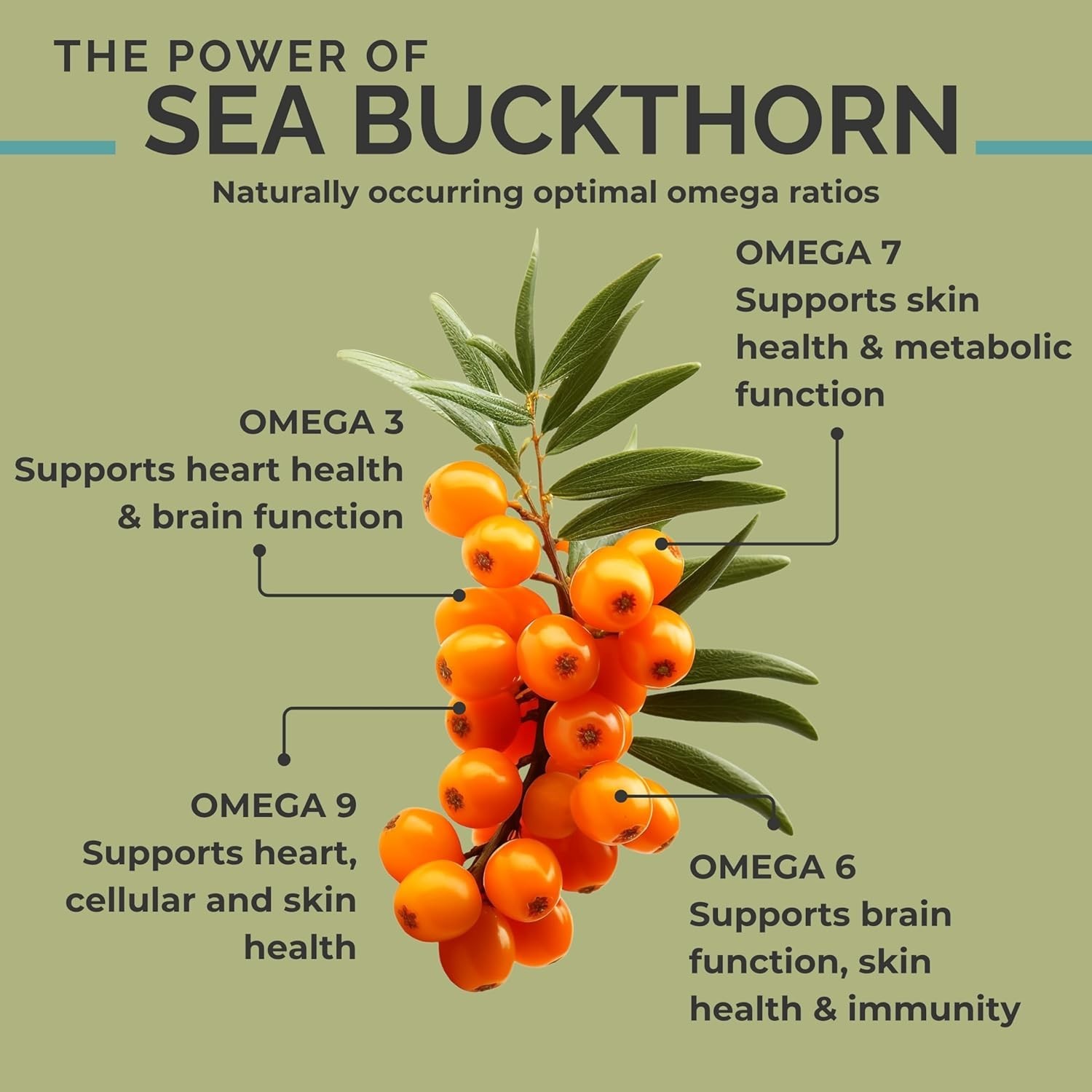 SEABUCKWONDERS Organic Sea Buckthorn Oil Omega-7 Complete, 120 Softgels, 60 Day