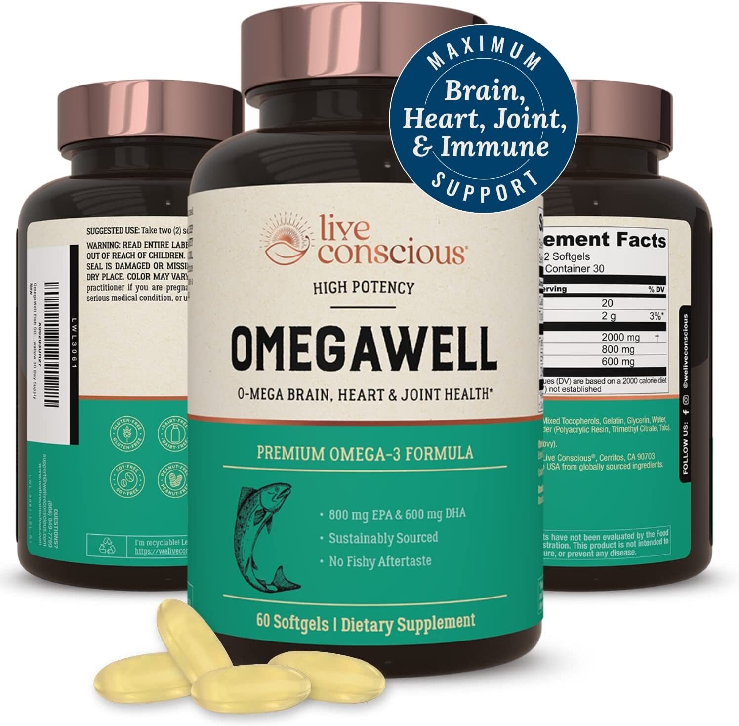 OmegaWell Omega 3 Fish Oil – 2000mg : Heart, Brain, & Joint Support, EXP 12/2024