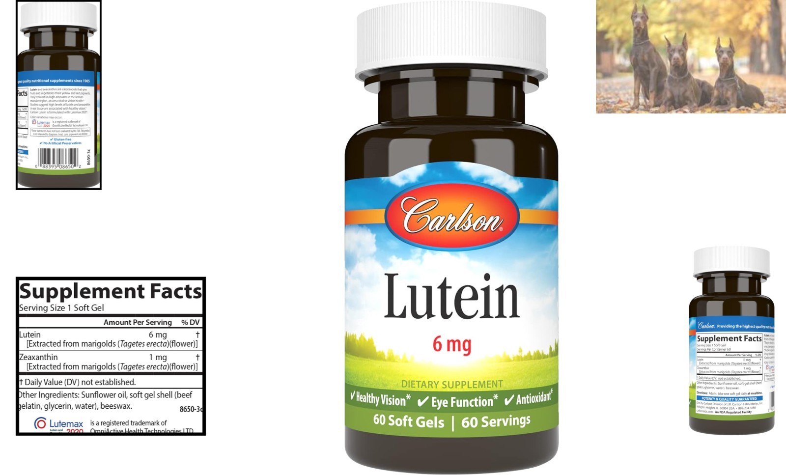 Lutein Antioxidant Softgels – 6mg for Eye Function, 60 Unflavored Softgels