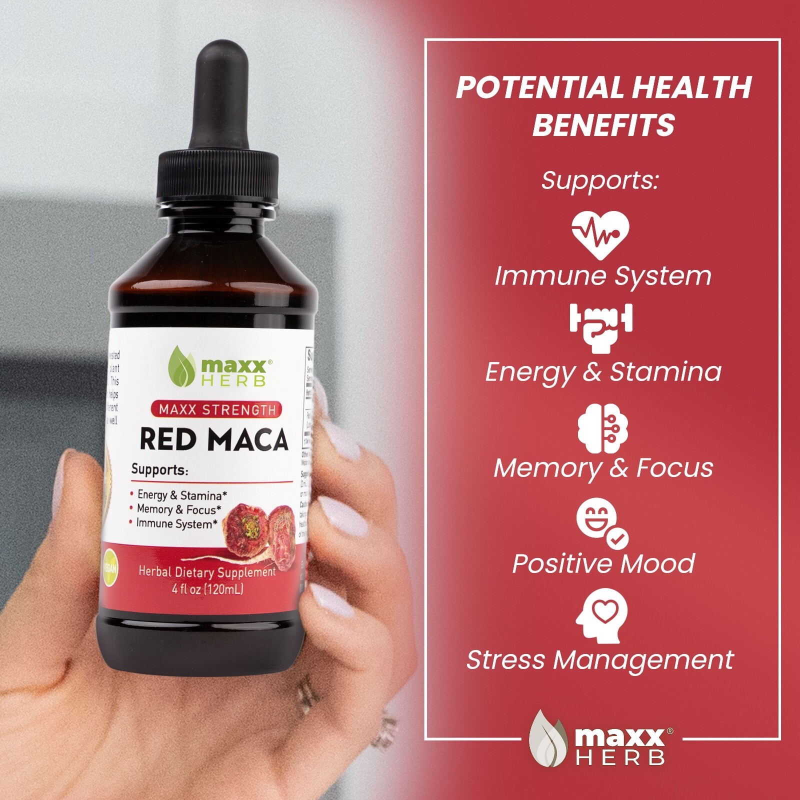 Maxx Herb Red Maca Root Extract Liquid for Energy, Stamina, Memory & Focus, 4oz