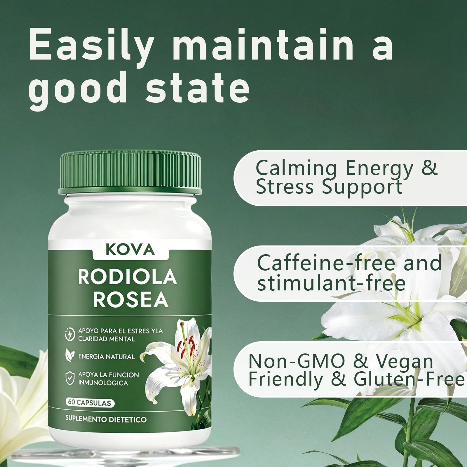 Natural Rhodiola Rosea Supplement for Energy & Mental Wellness Support 60 Caps