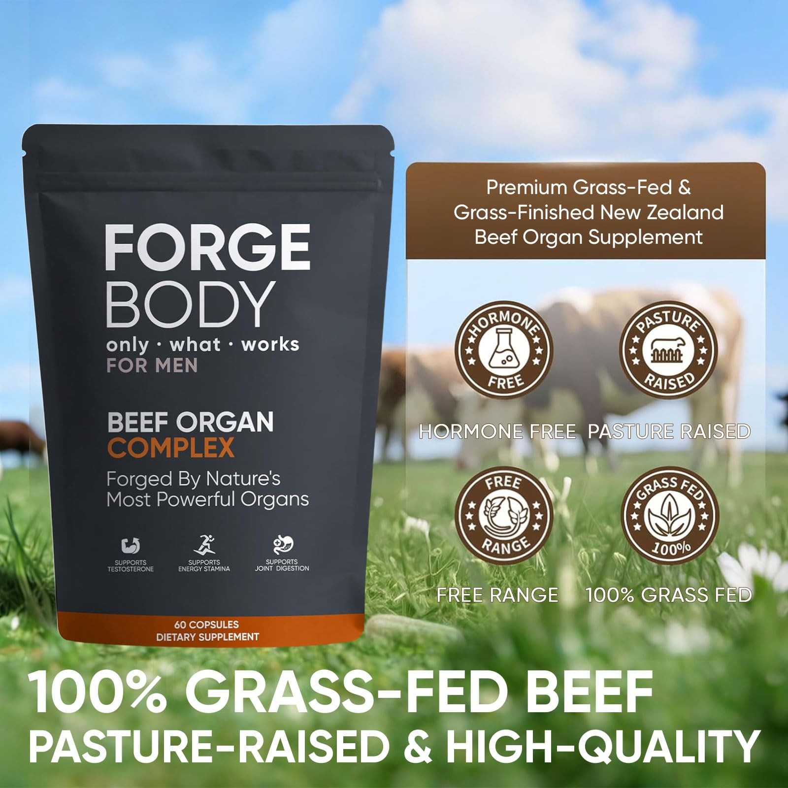 KXVUDE Forgebody Beef Organ Complex Capsules, Grass Fed & Pasture Raised – Tot