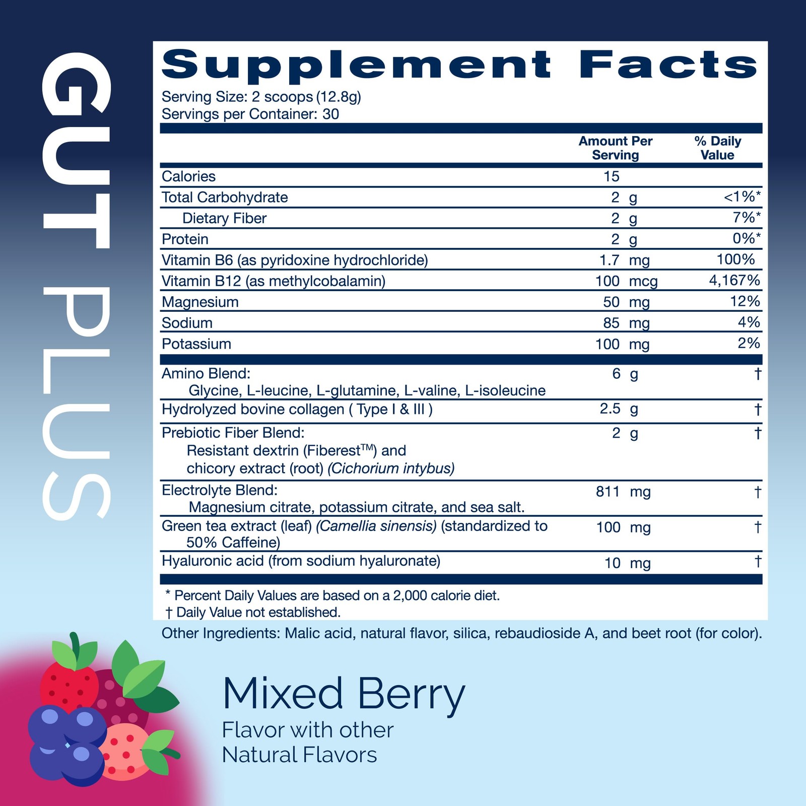 Replenza Berry 6.8 oz powder
