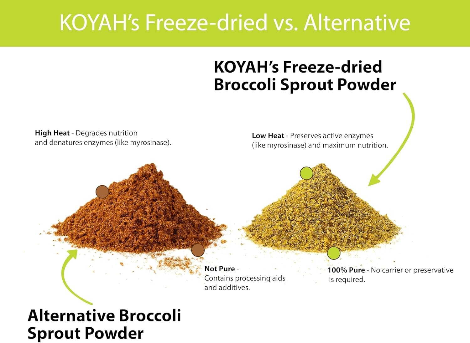 KOYAH Organic Broccoli Sprout Powder Freeze-Dried Active Myrosinase 36 Servings