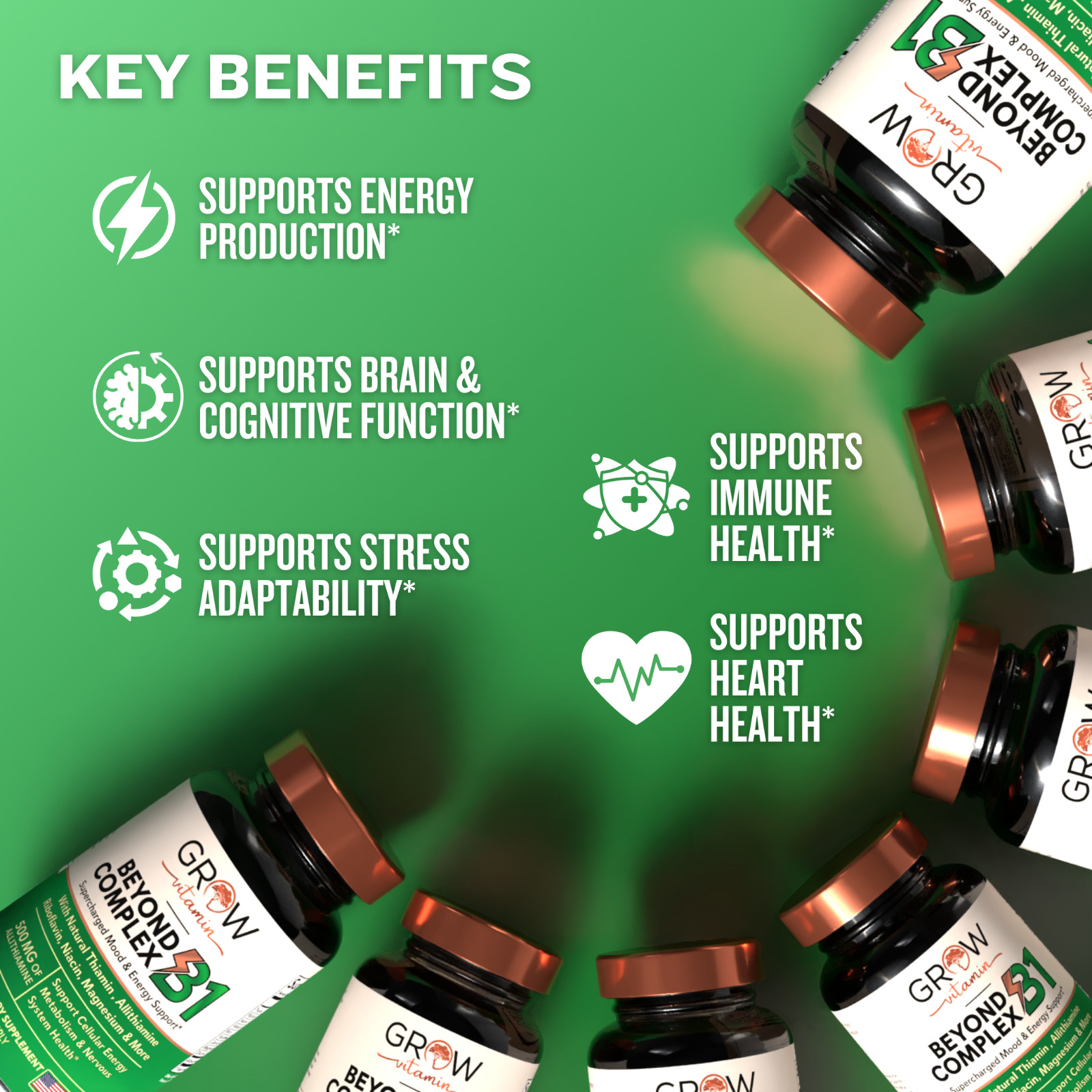 Dr. Berg Natural Vitamin B1 B6 B2 Complex – Allithiamine Vitamin B1 Supplement