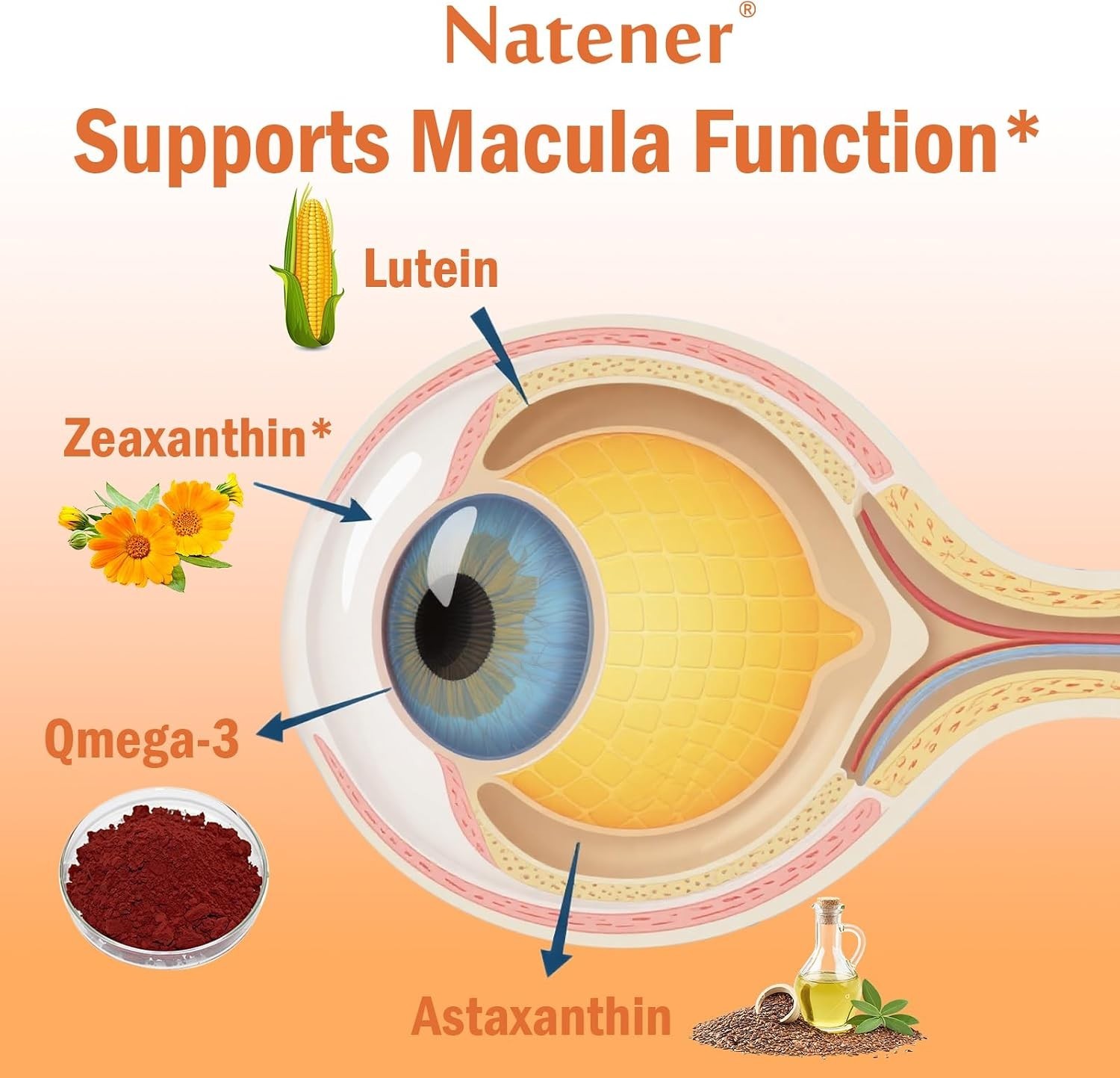 Natener 14 in 1 Eye Vitamins Lutein Zeaxanthin Astaxanthin Omega 3 Support