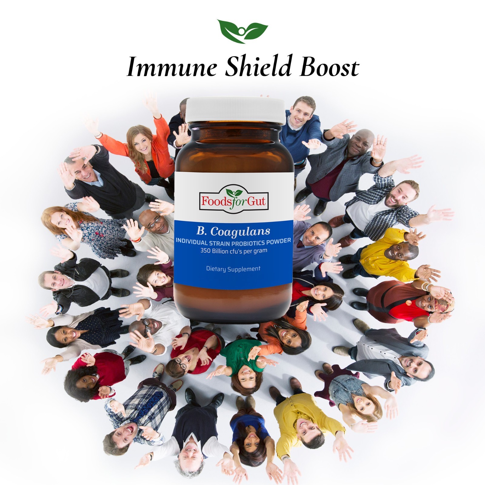 Bacillus Coagulans Probiotic Powder 350B CFU | Bottled in USA | No Additives