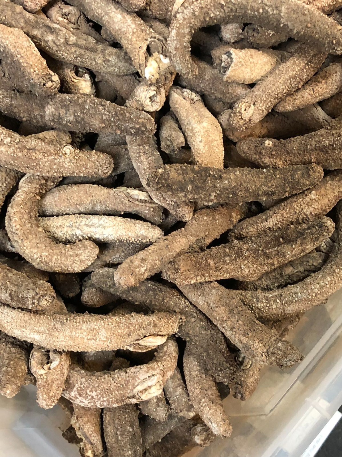 阿拉斯加红参(海参)Super 3A natural Sun Dried ALASKA Red Sea Cucumber(Size L)1LB/Bag