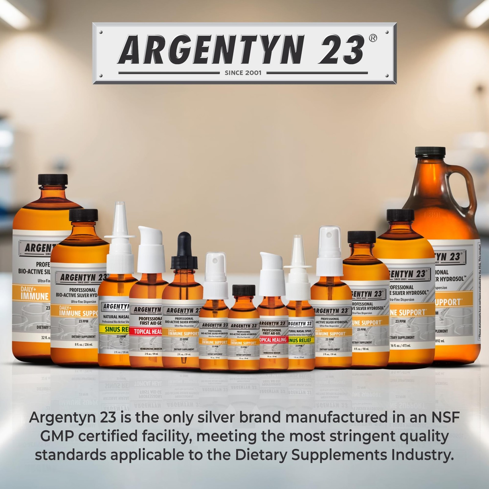 Argentyn 23 Professional Immune Support, Colloidal Silver, 8 fl oz (236 mL) |…