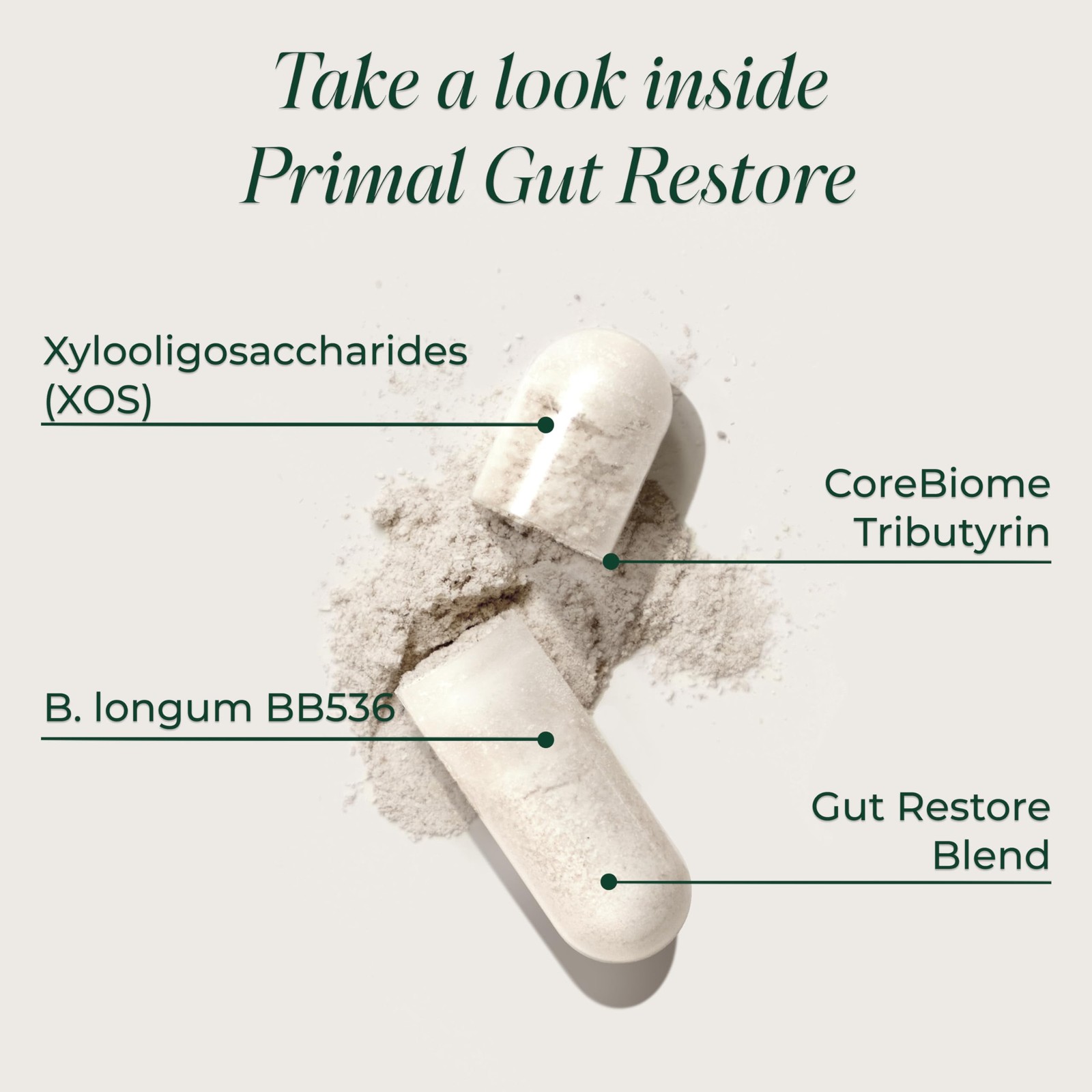 Gut Health Supplement Primal Harvest Restore 60 CT Probiotics Prebiotics Women
