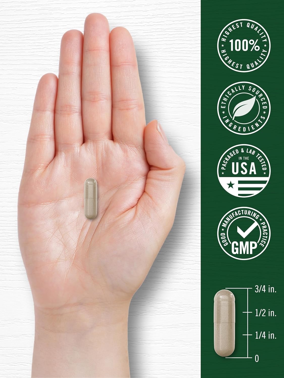 Carlyle Panax Ginseng & Ginkgo | 120 Vegetarian Capsules | Non-GMO & Gluten Free