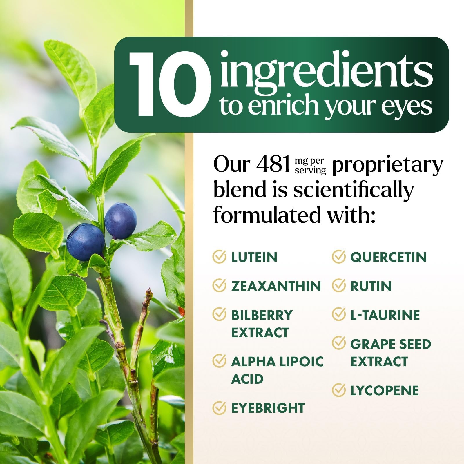 3x Strength Eye Vitamins with Lutein & Zeaxanthin for Vision Support – 120 Capsu
