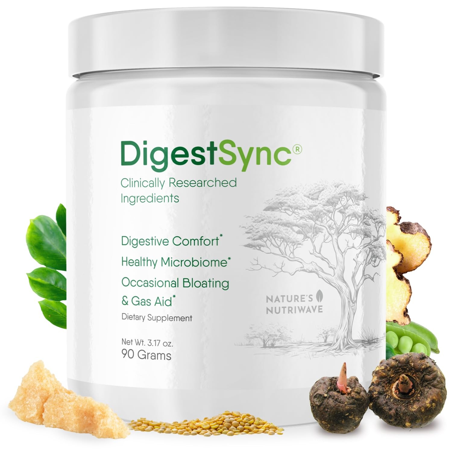 DigestSync Digestion Supplement for Gut Health – Natural Powder for Digestive