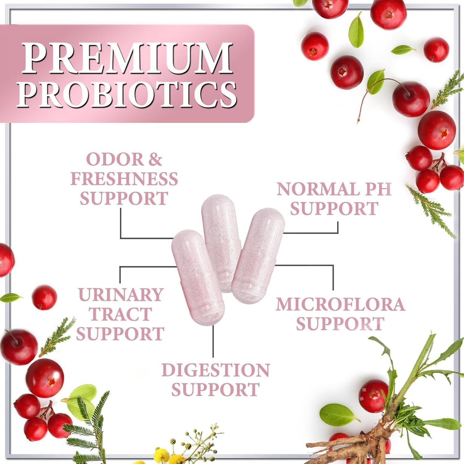 Probiotics for Women Pills with Cranberry – 16 Premium Strains for Vaginal PH